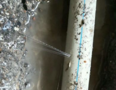 桑日测漏水哪家好