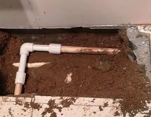 桑日测漏水哪家好