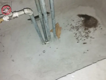 桑日卫生间测漏水价格明细