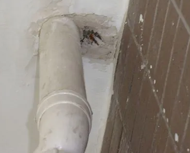 桑日漏水检测哪家好